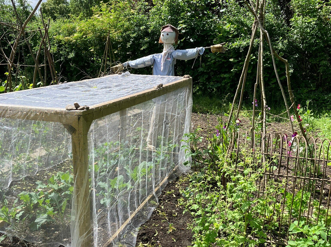 Acton Scott Heritage Farm-Acton Scott必去景点