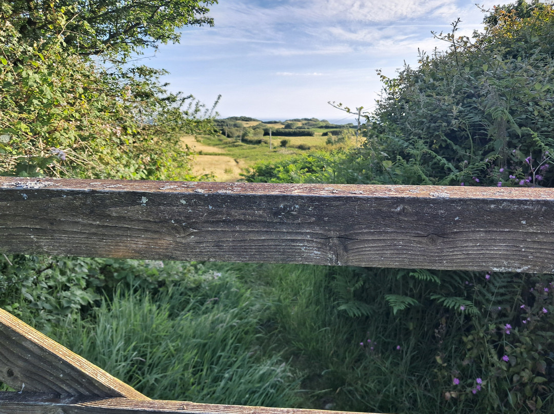 Warcombe Farm Camping Park主图