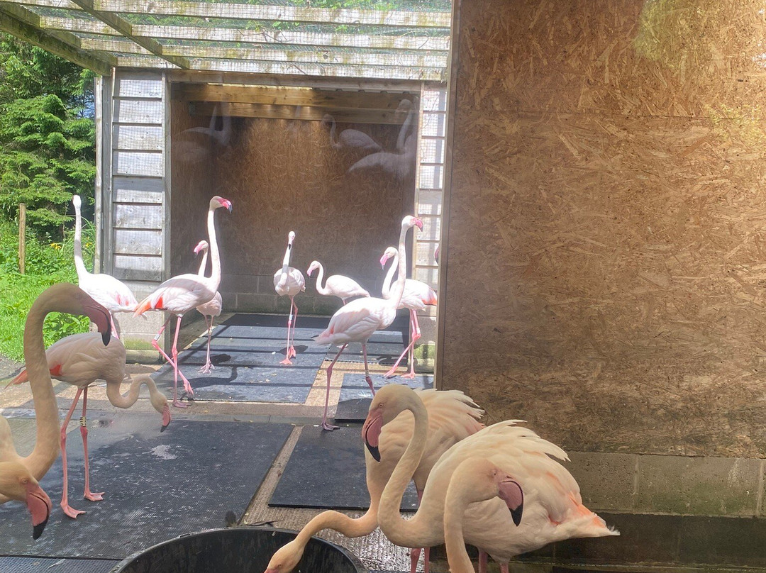 The Lake District Wildlife Park-Bassenthwaite必去景点