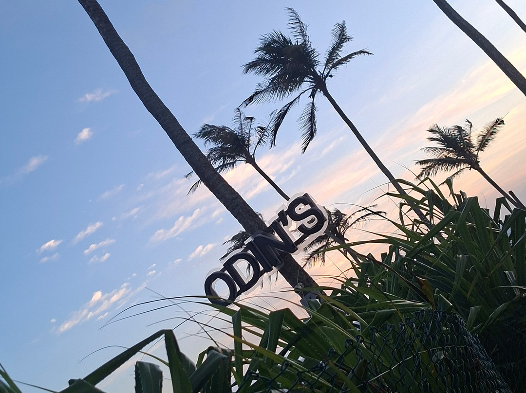 Coconut Tree Hill-美蕊沙必去景点