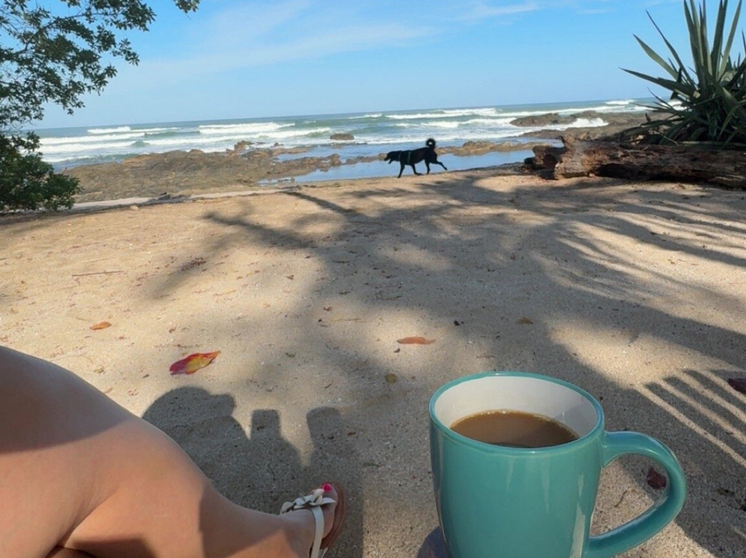 Sueno del Mar Beachfront Bed & Breakfast主图