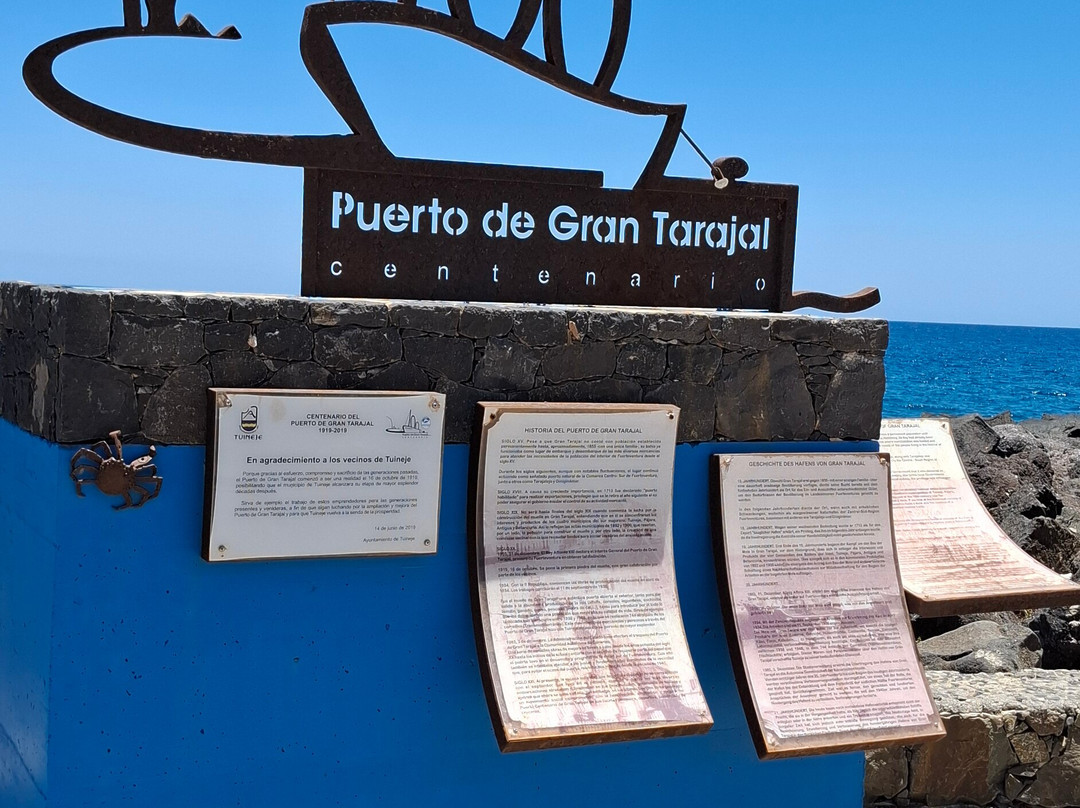 Cuvier's Beaked Whale Skeleton-El Cotillo必去景点