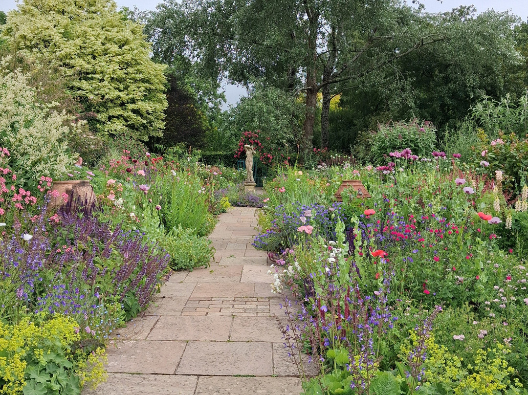 Burrow Farm Gardens-Dalwood必去景点