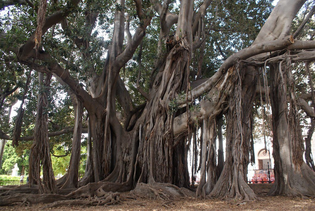 Giardino Garibaldi-巴勒莫必去景点