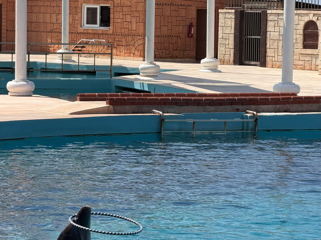 Sealanya Dolphinpark Seapark-蒂尔克莱尔必去景点