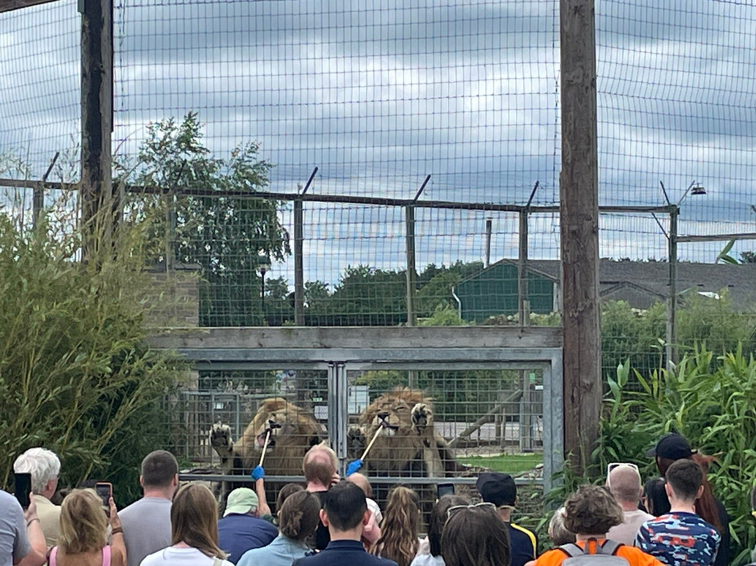 Wolds Wildlife Park-Horncastle必去景点