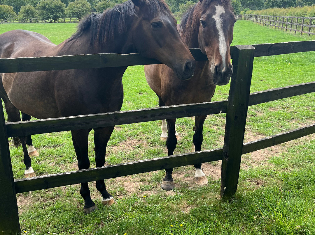 Discover Newmarket Tours-纽马克特必去景点
