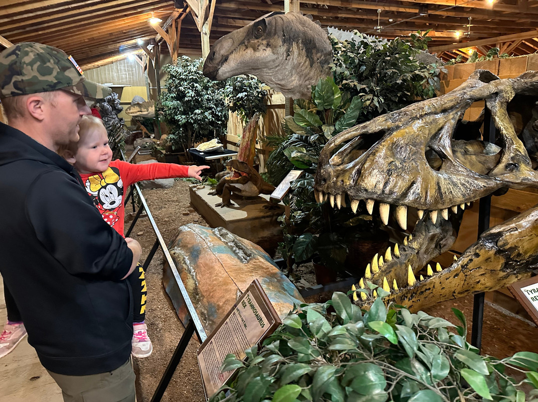 Dinosaur Museum-拉皮德城必去景点