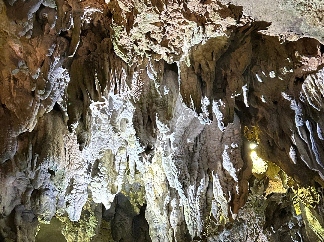 Kentucky Down Under Adventure Zoo-Horse Cave必去景点