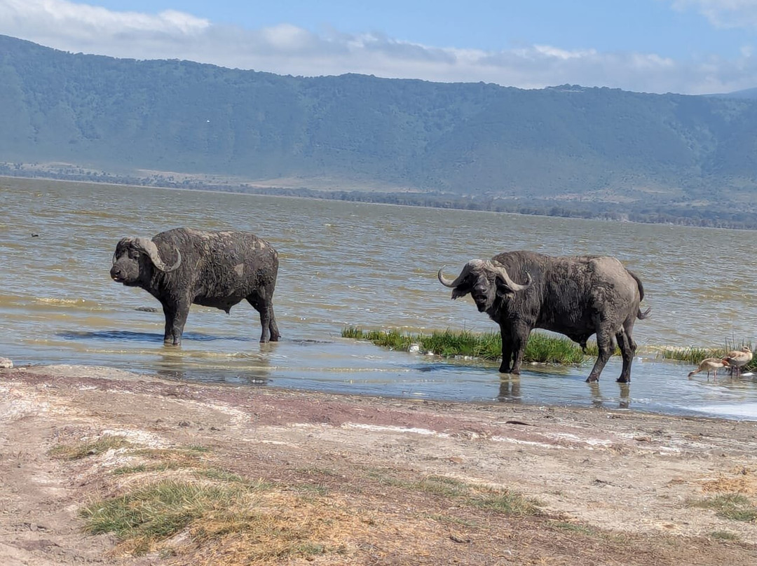 BADGER ADVENTURES TOURS & SAFARI-Arusha Chini必去景点
