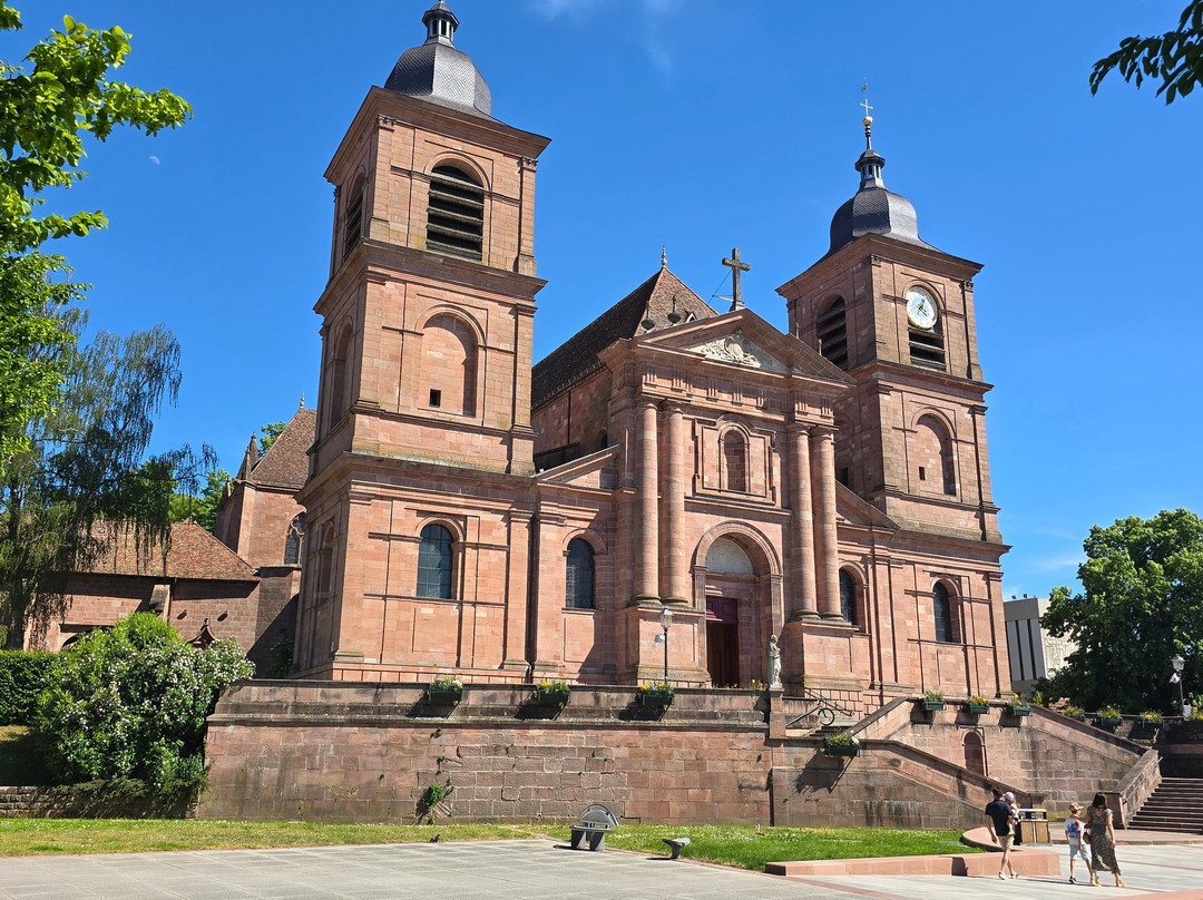 Saint-Die Cathedral-孚日圣迪耶必去景点
