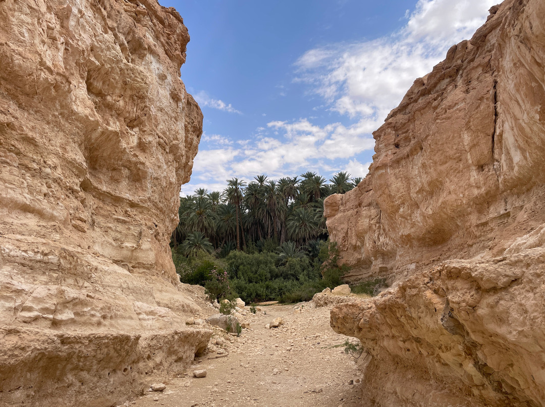 Tamerza Canyon-吐泽尔必去景点