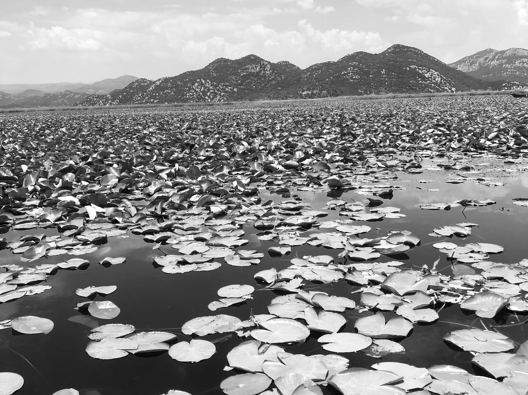 Monte Frog Boat Cruise-维尔巴札拉必去景点
