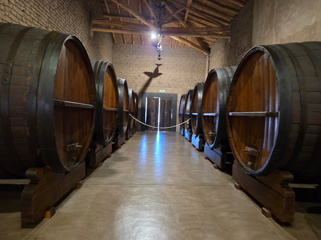 Bodega La Rural Wine Museum-门多萨省必去景点