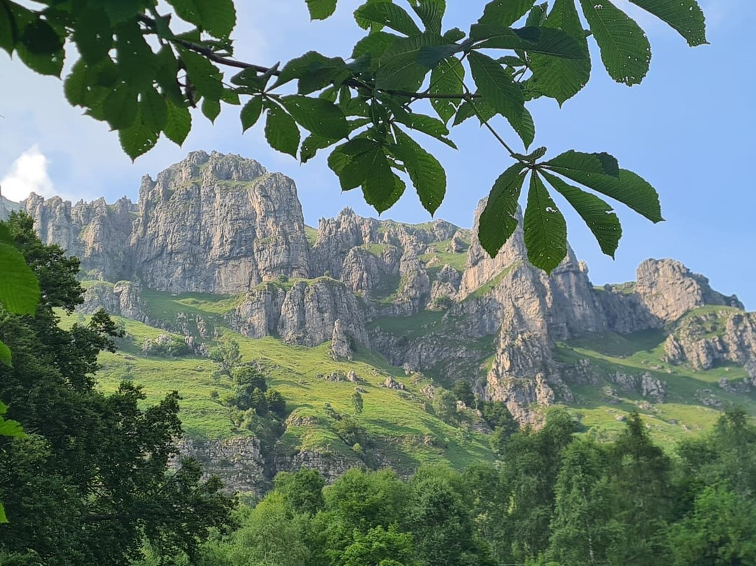 Val Venegia e Baita Segantini-特伦托必去景点