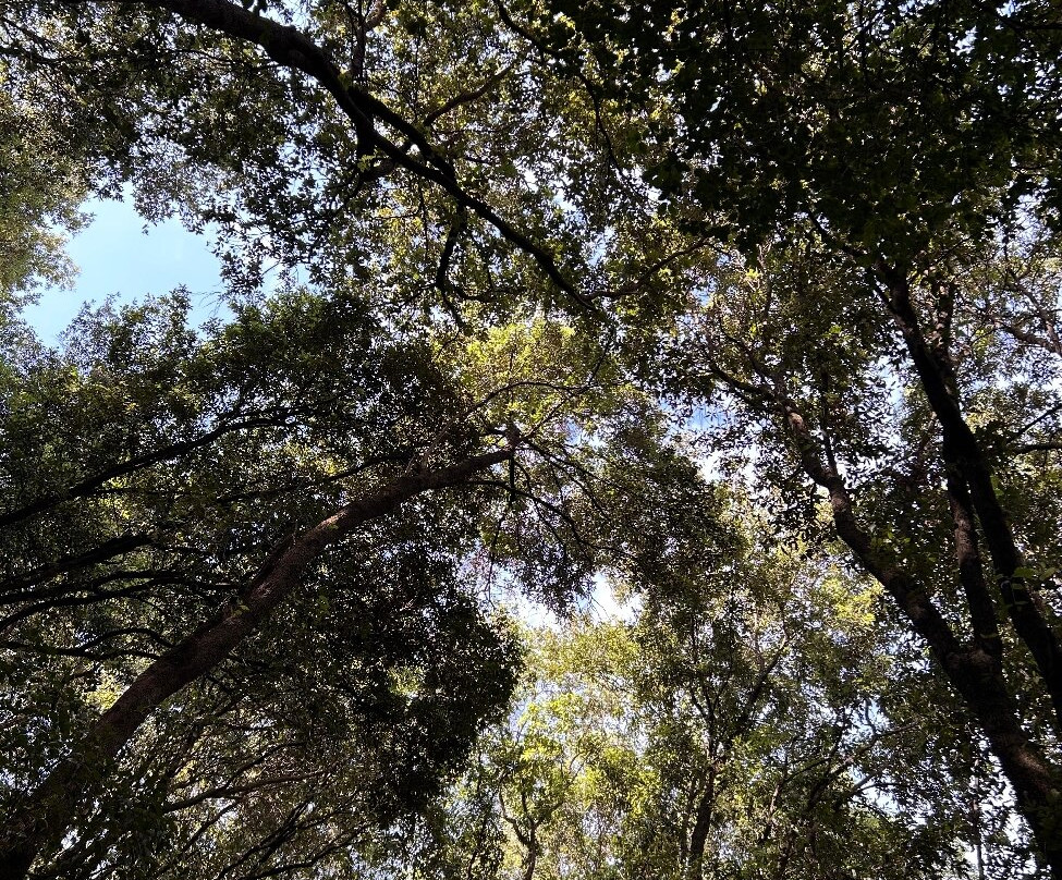 Riserva Naturale Regionale delle Valli Cupe-Sersale必去景点