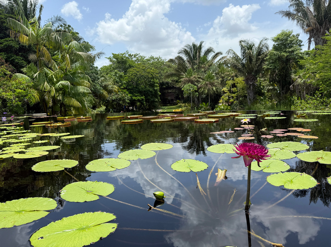 Naples Botanical Garden-那不勒斯必去景点