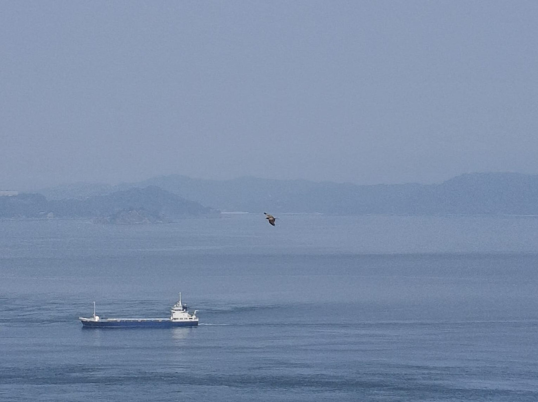 鳴門海峽-鸣门市必去景点