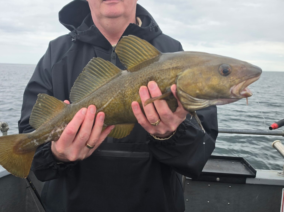 Moray Firth Fishing Charters-Burghead必去景点