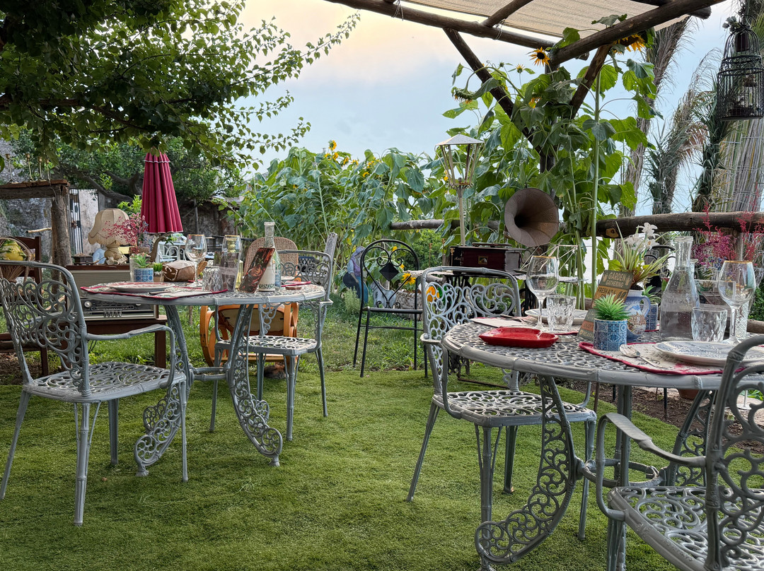 Amapola ' S Kitchen Home Restaurant