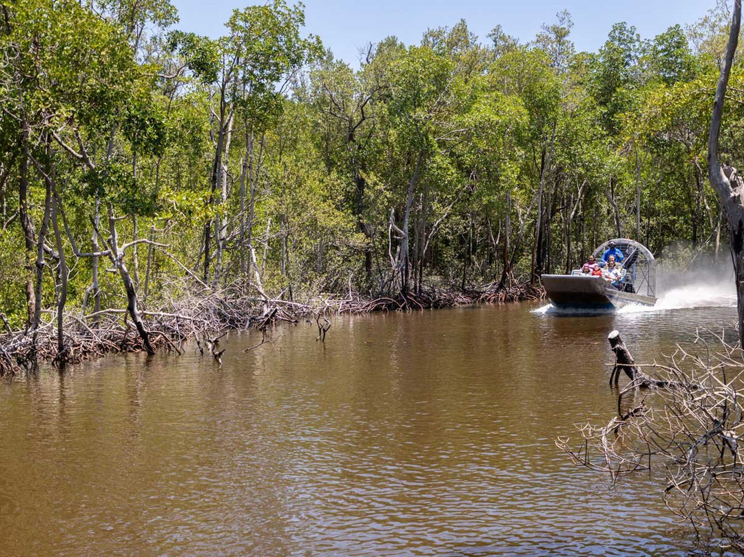 Everglades City Airboat Tours-大沼泽地必去景点