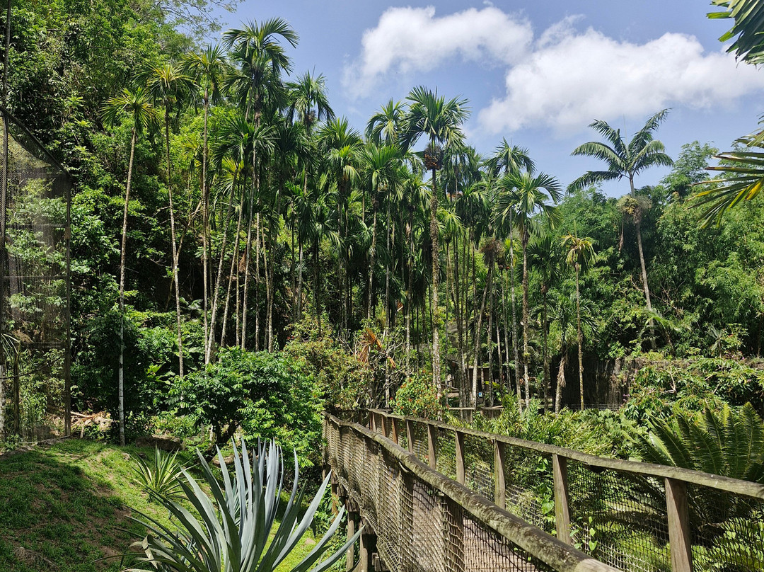 Zoo de Martinique-Le Carbet必去景点