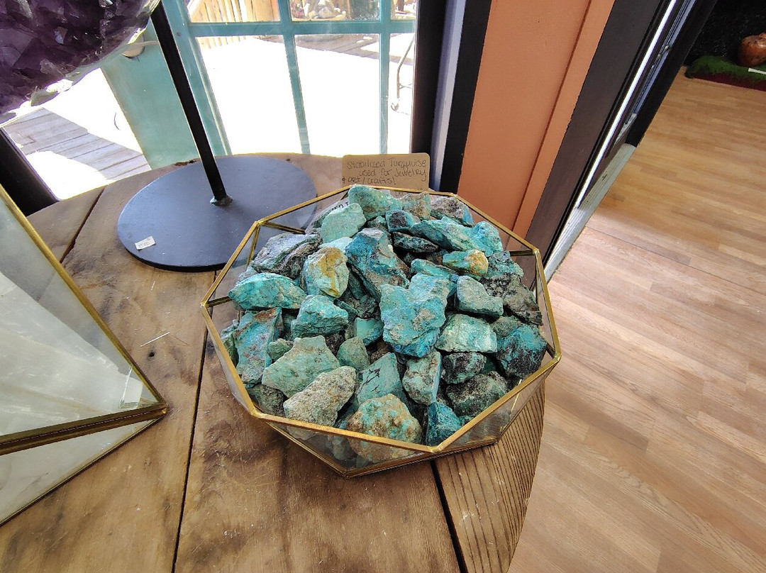 Cactus Joe's Blue Diamond Nursery-拉斯维加斯必去景点