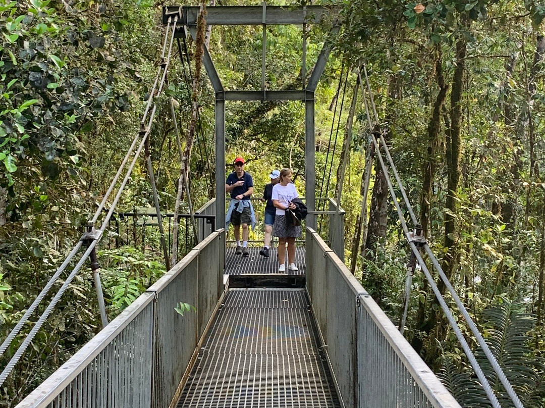 Mossman Gorge Cultural Centre-丹特里区必去景点
