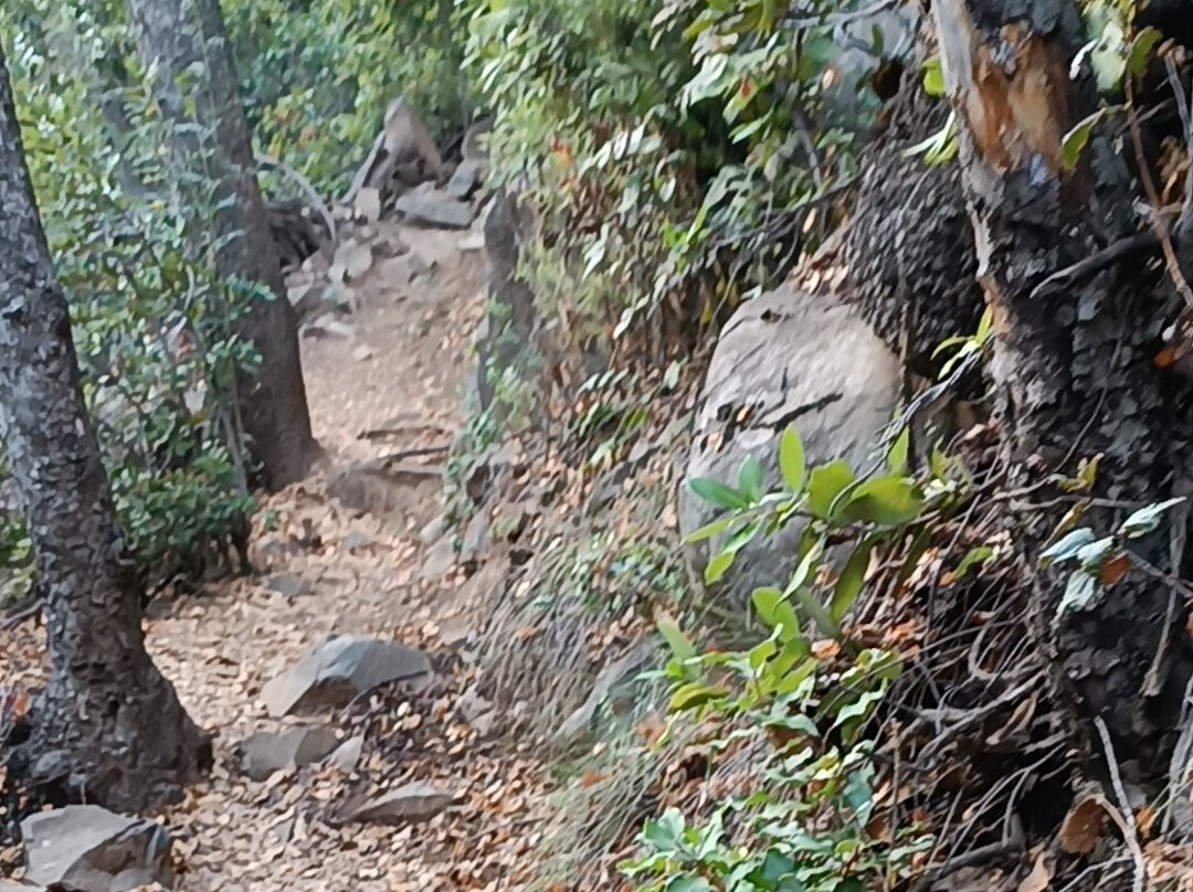 Parque peumayen tenglo