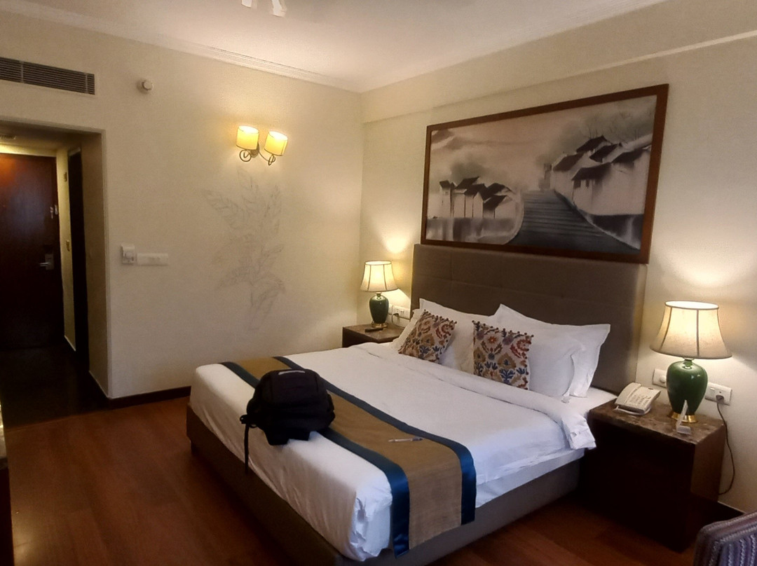 拉里萨8fold主图