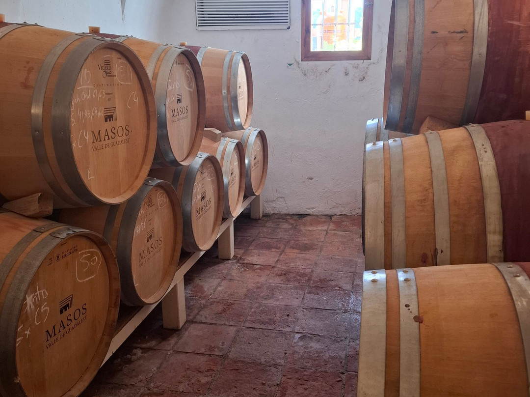 Bodega Masos Guadalest-Benimantell必去景点