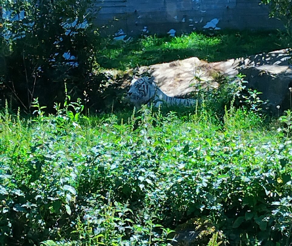 ZooParc de Trégomeur-Tregomeur必去景点
