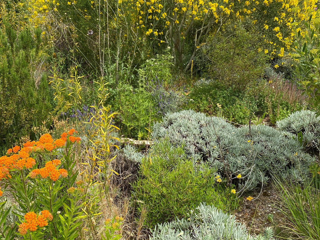 Knepp Rewilded Walled Garden-West Grinstead必去景点