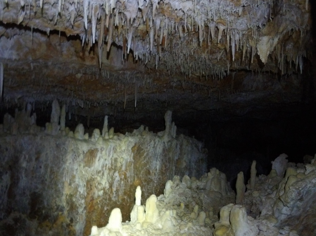 Aven Grotte Forestière-Orgnac-l'Aven必去景点