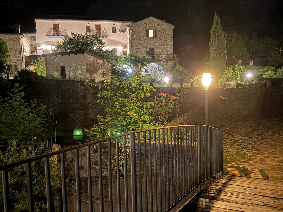 Il Glicine e la Lanterna主图