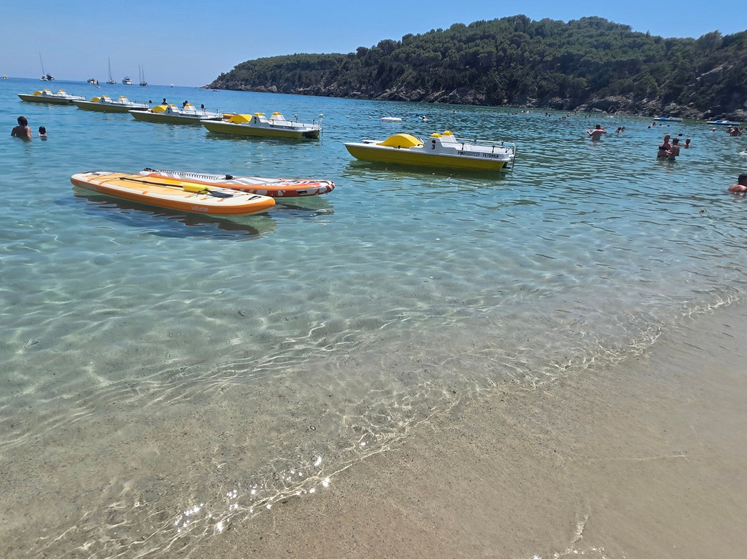 Spiaggia di Fetovaia-Campo nell'Elba必去景点