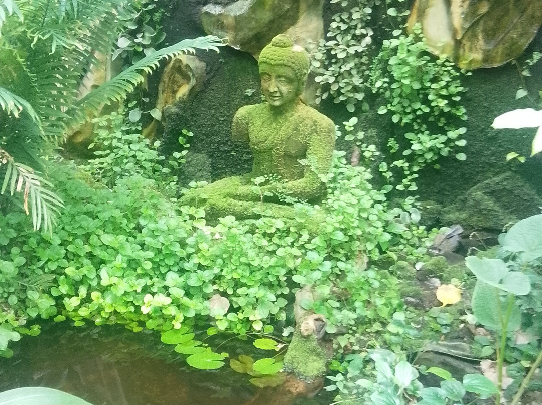 Caen Botanical Garden-卡昂必去景点