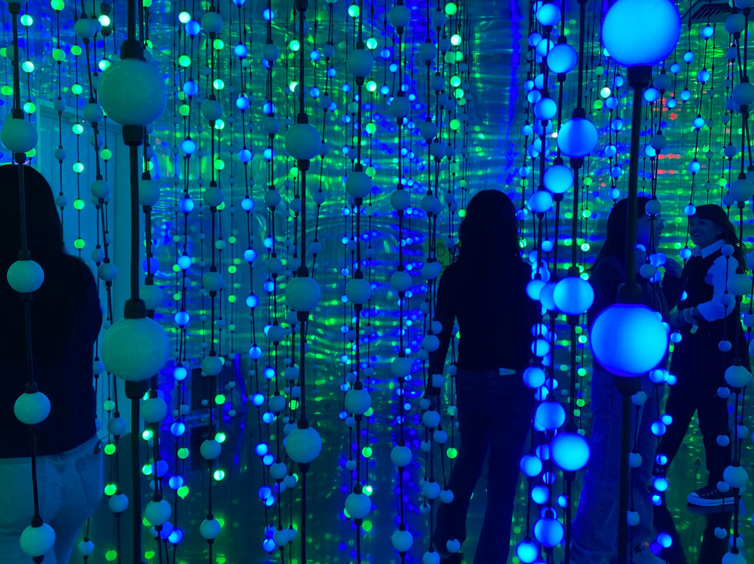 Dopamine Land Santiago: A multisensory experience-Providencia必去景点