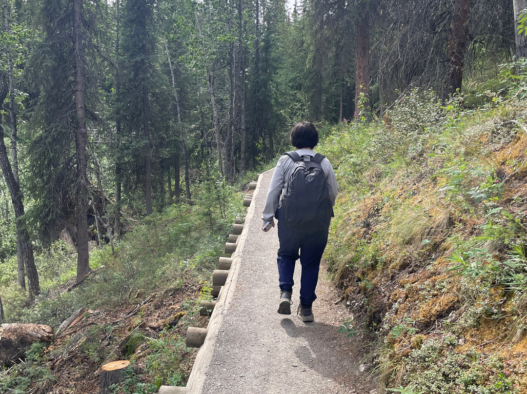 Horseshoe Lake Trail-德纳利国家公园和自然保护区必去景点