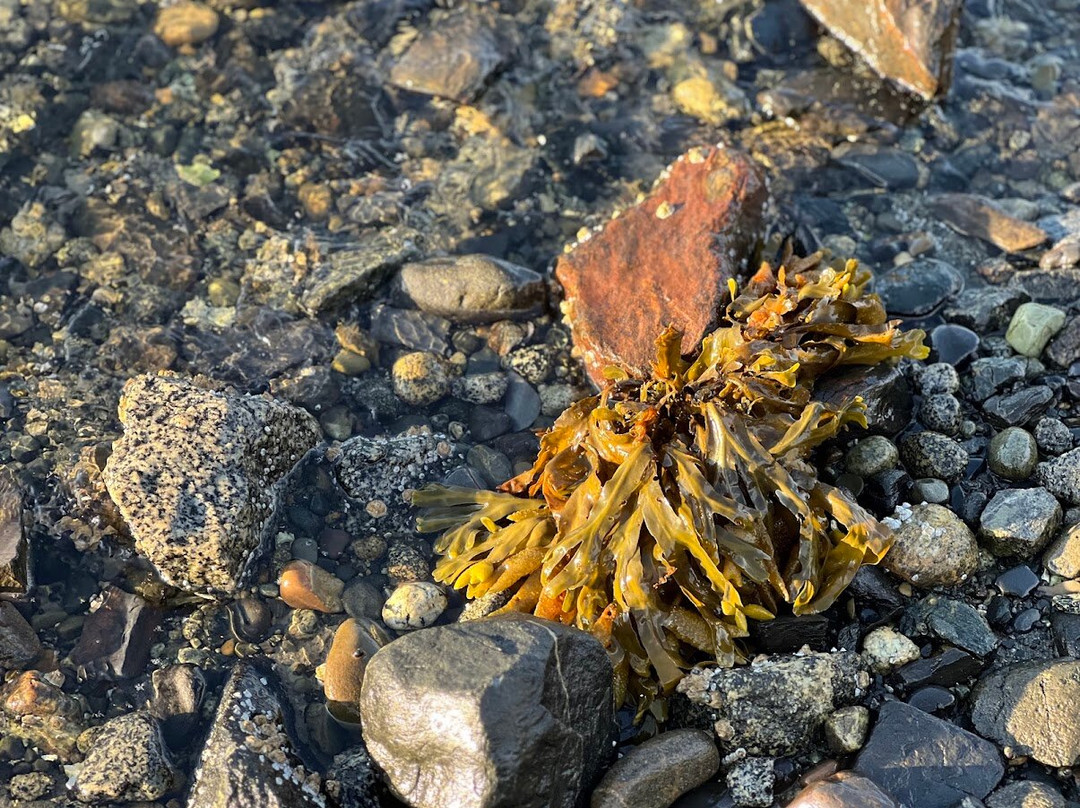 Bartlett Cove-Glacier Bay National Park and Preserve必去景点