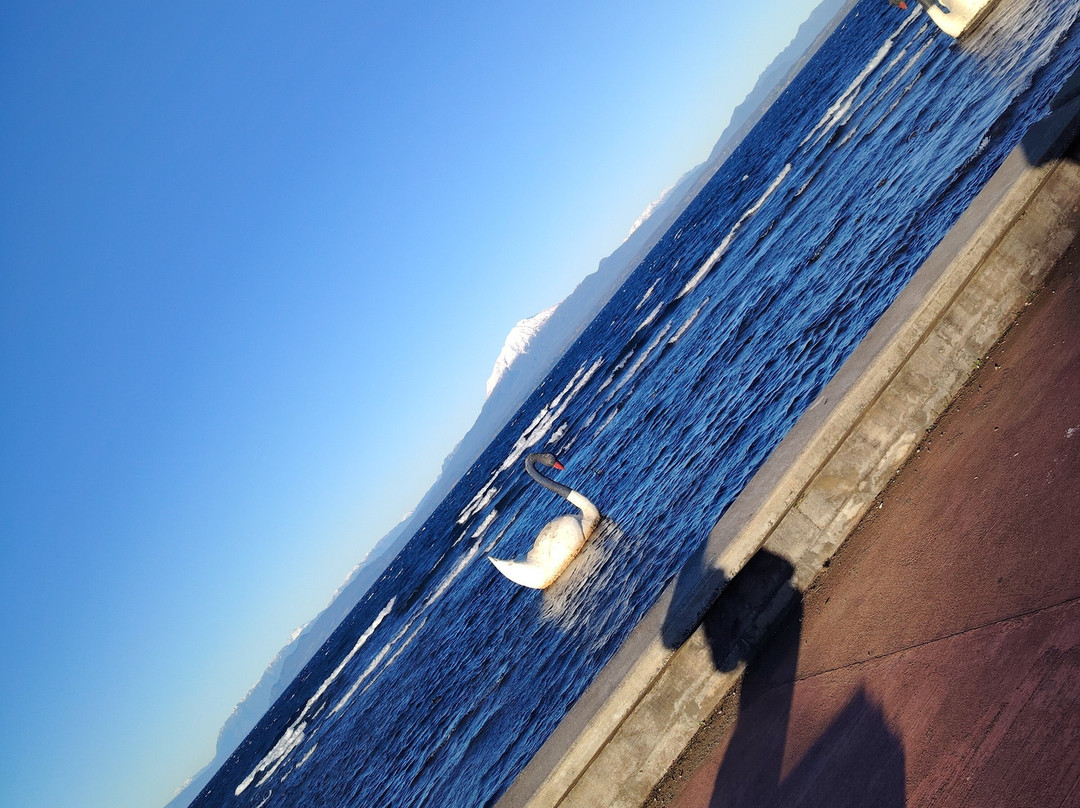 Muelle de Llanquihue-Llanquihue必去景点