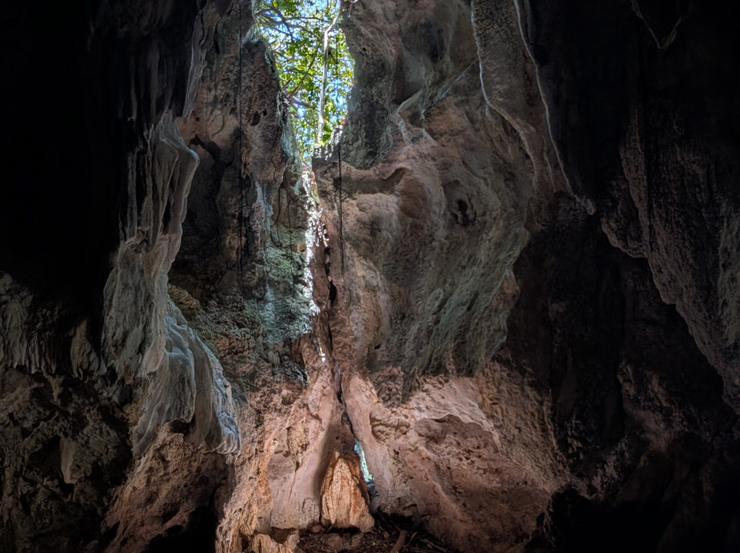 Booking Adventures-Sabana de la Mar必去景点