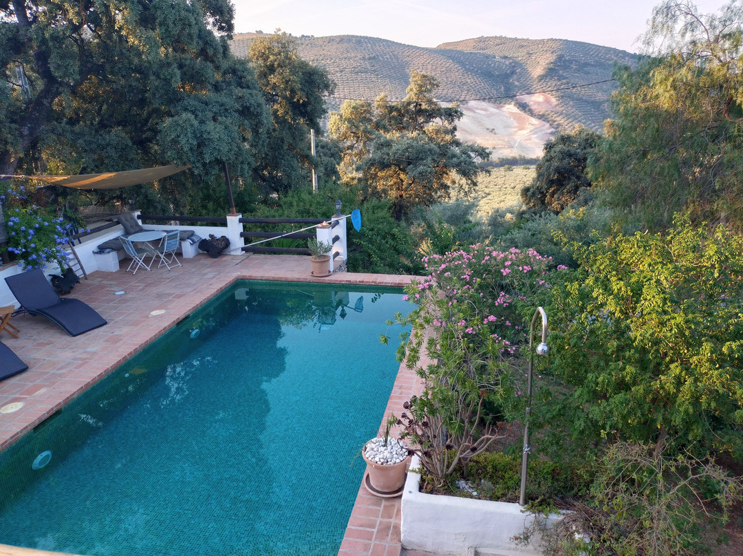 Gourmet B&B Finca Las Encinas主图