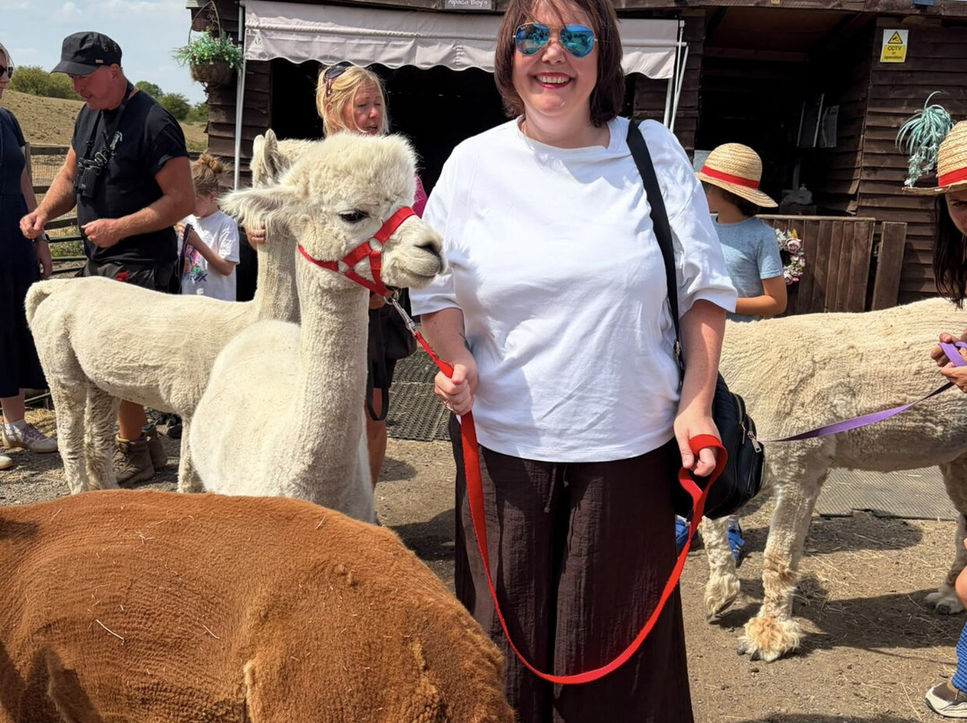 Alpaca & Unicorn Adventures-Tring必去景点