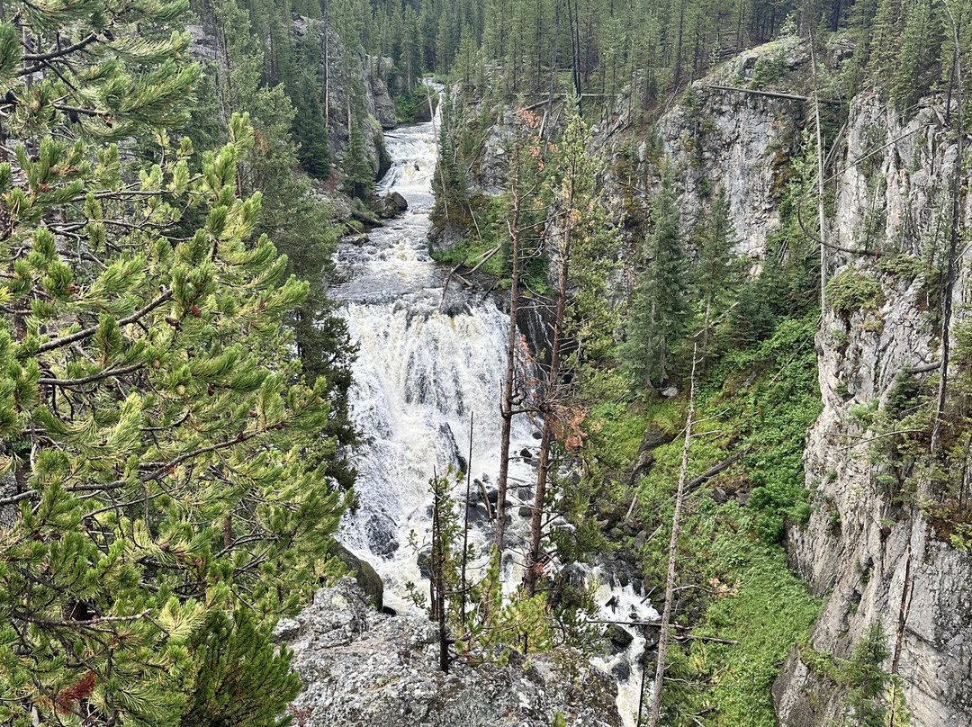 Jackson Hole Eco Tour Adventures-杰克逊必去景点