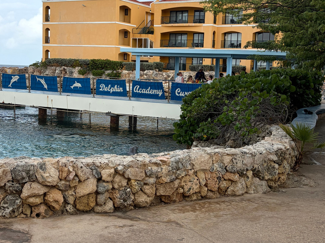 Dolphin Academy Curacao-威廉斯塔德必去景点