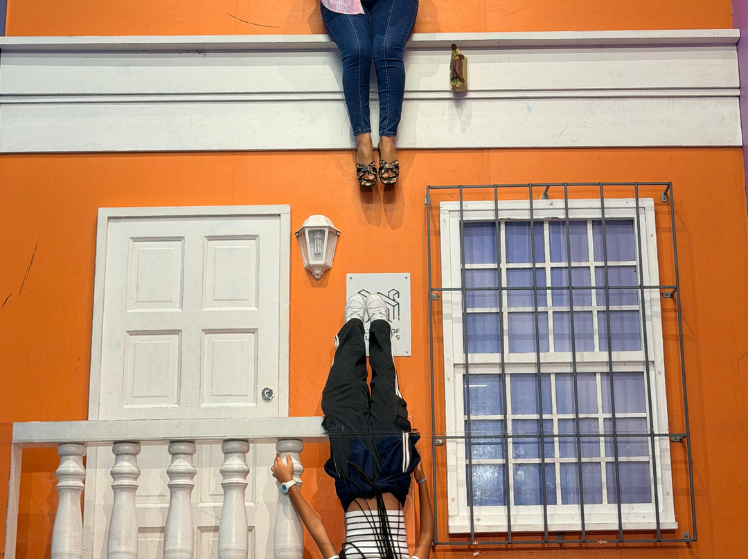 Museum Of Illusions Cape Town-开普敦中心区必去景点