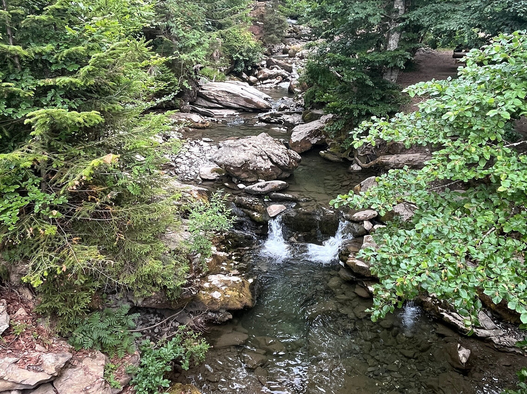 Cascade D'ardent-Montriond必去景点