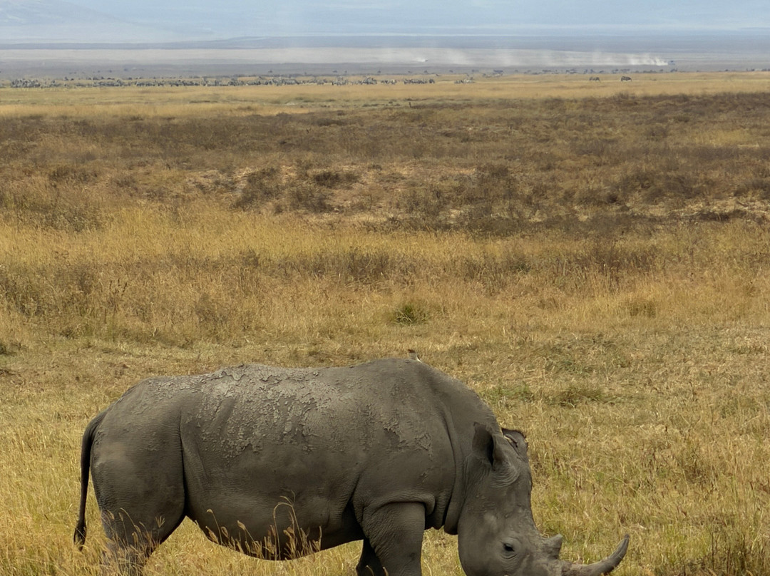 BADGER ADVENTURES TOURS & SAFARI-Arusha Chini必去景点