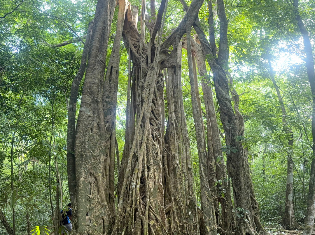 The Explorean Selva Maya Kohunlich主图